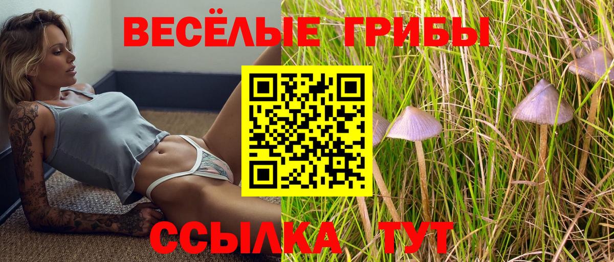 Псилоцибиновые грибы Cubensis Солнечногорск