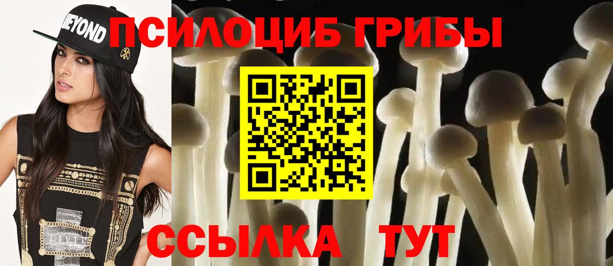 Галлюциногенные грибы Magic Shrooms  Галлюциногенные грибы Psilocybe  Солнечногорск  Вход с VPN 